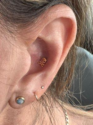 Conch piercing with Taki 10/26/22