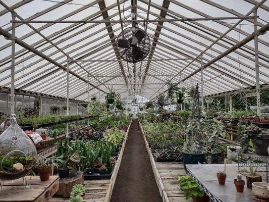 Graye's Greenhouse