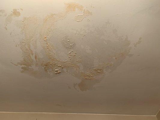 Ceiling that we paid Inks to patch and repair after they supposedly fixed the leak. This happened after the repair