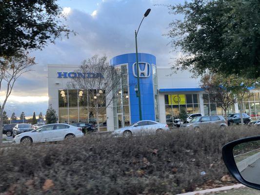 Hayward Honda