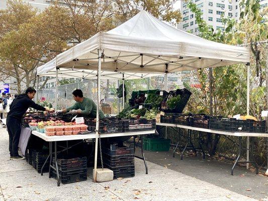 This vendor is also at Morningside Park every Saturday all year! 11/01/24