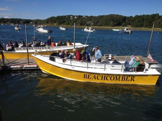 Beautiful day in Chatham to go Seal Watching on board the BEACHCOMBER!