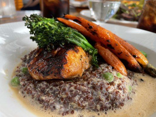 Organic salmon, quinoa risotto