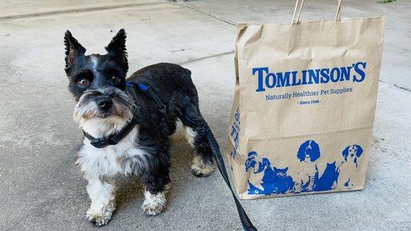 TicTac is always happy when we stop by Tomlinson's. He guaranteed belly rubs and treats from the staff every time.