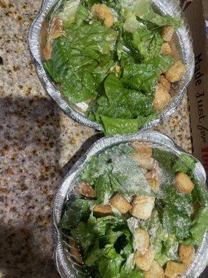 Salads with NO DRESSING. so lettuce. They sent me lettuce. Trash pizza place.