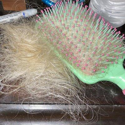 The 4th full brush of hair that fell out