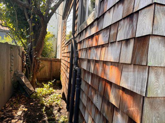 Left side of cottage, plum tree and back fence. Plum tree was already removed when they got there.