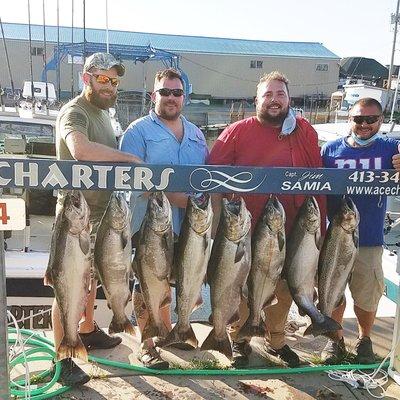 Nice catch of Lake Ontario Kings