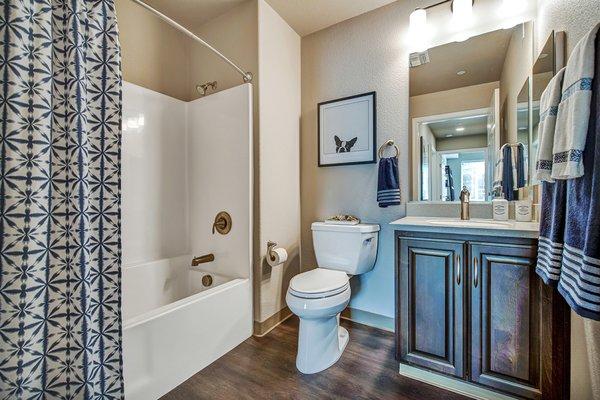 Spacious bathroom and tub