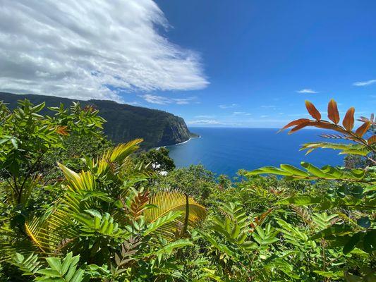 Beautiful Waipio Valley from our tour with Koty!