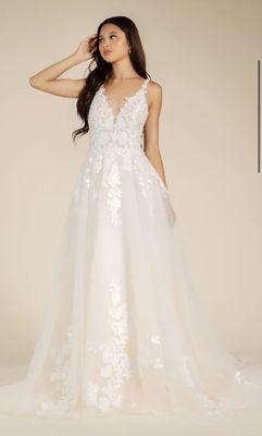 A-Line tulle Lace Gown