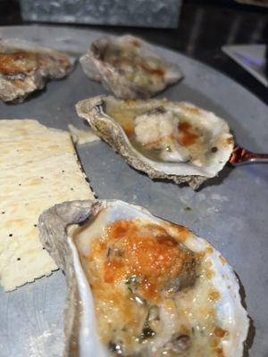 Gulf Coast Oysters