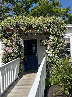 Beautiful jasmine flowers for ambiance