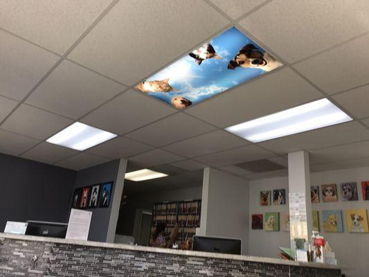 Cool ceiling