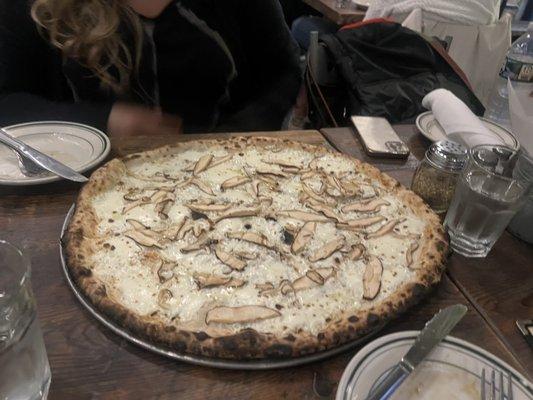 Truffle pizza