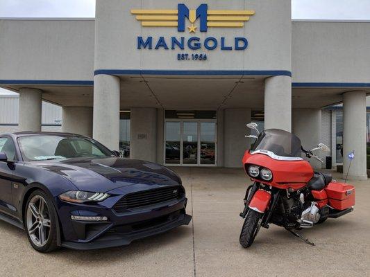 Mangold Ford