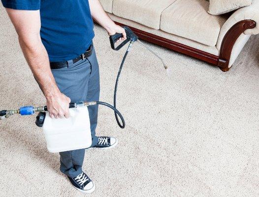 First Choice Carpet & Upholstery Cleaning