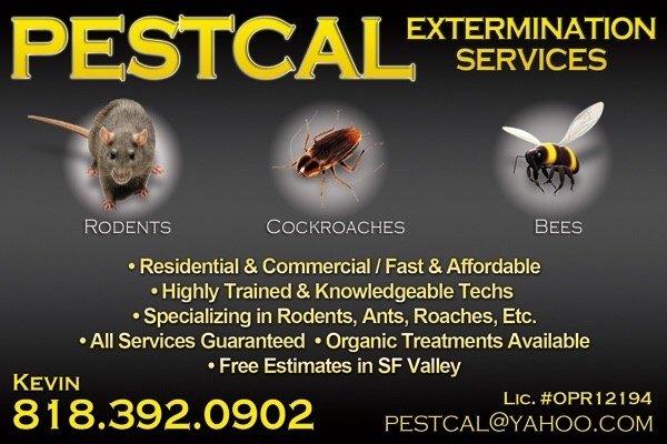 Pest and Termite Control