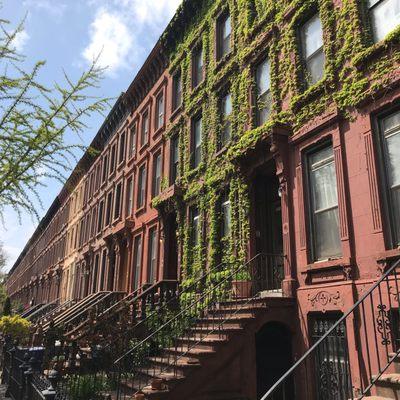 Brooklyn townhomes