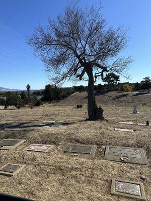 The E-end of the sloped burial land.  The hills West & South of the property look the same.