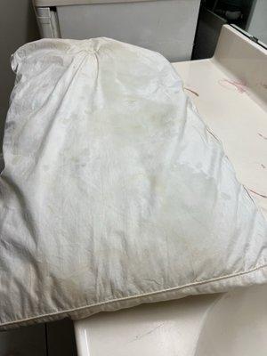 Pillow Stains2