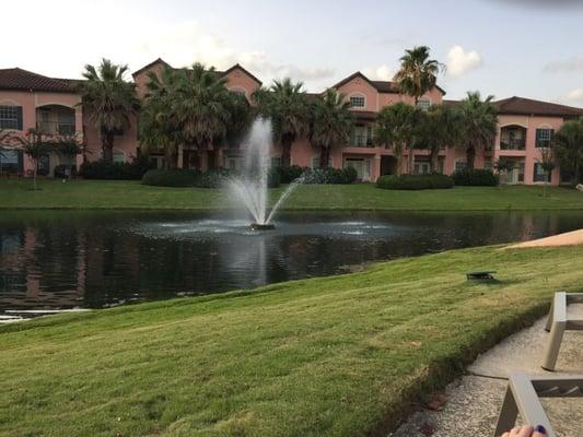 Pond-side at the pool