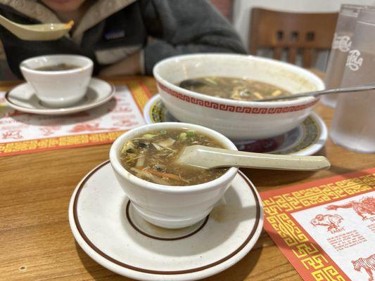 Hot and Sour Soup