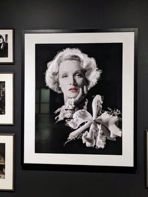 November 10, 2023; Play The Part -Marlene Dietrich Exhibition.