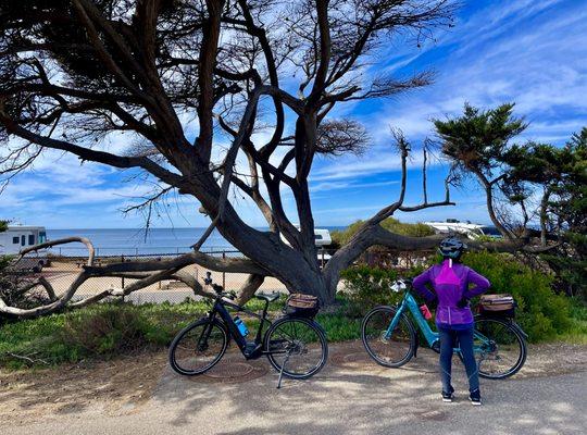 Short stop at South Carlsbad State Beach on the way back to Coffee Box.