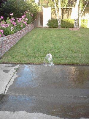 We also fix sprinkler systems