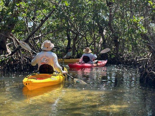 Kayaking through the mangroves.