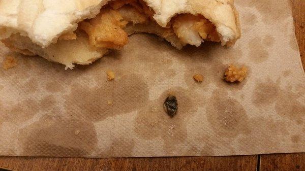 Foreign object in my shrimp poboy.  I hope it wasn't part of a bug body!  I feel sick!