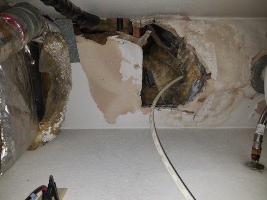 Hole above furnace with obvious water dmage. Insulation hanging from cieling. ARP deleted this work order without speaking about the issue.