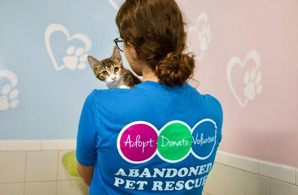 Adopt Donate Volunteer at Abandoned Pet Rescue: Fort Lauderdale's No-Kill Animal Shelter