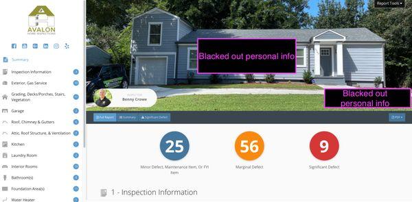 Screenshot of top of inspection report. Super thorough!