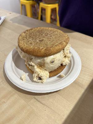 Ice Cream on a Classic Cookie Snickerdoodle