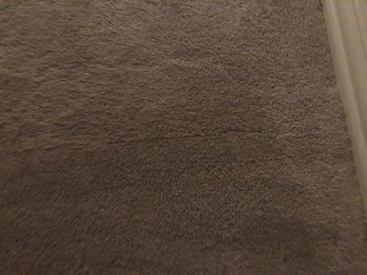 Ugly seam- as if they want to show off how many different pieces of carpet come together in each room