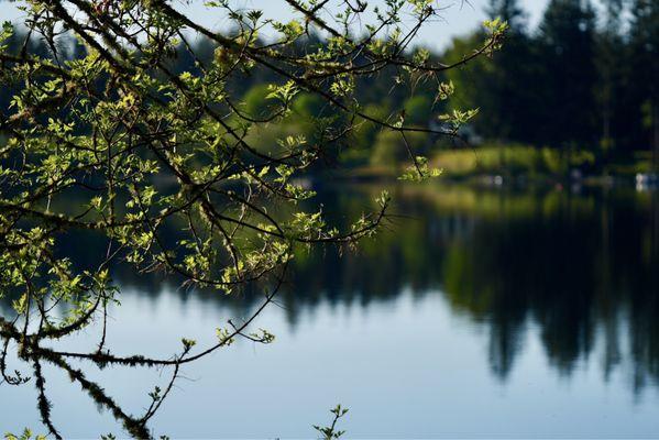 Hicks Lake