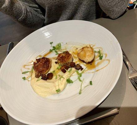 Scallops