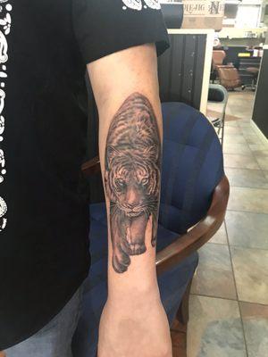 Great tiger tattoo not finished yet can't wait though.