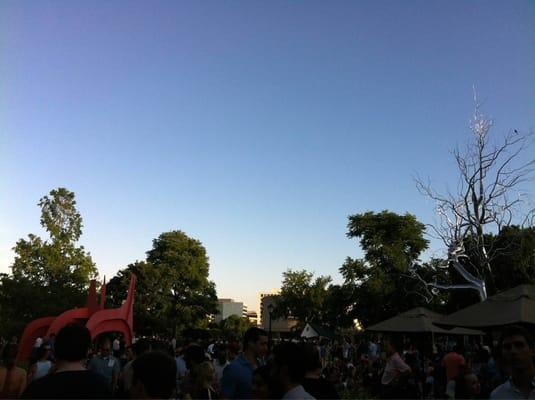 View of the crowd and that lovely silver tree