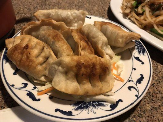 Pan fried dumplings