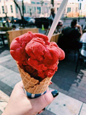 Raspberry sorbet