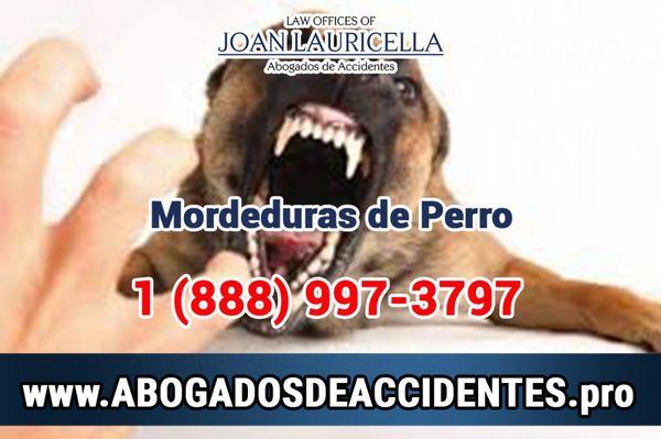 Abogados de Mordeduras de Perro Los Angeles, https://abogadosdeaccidentes.pro/