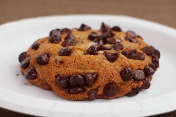 chocolate chip cookie