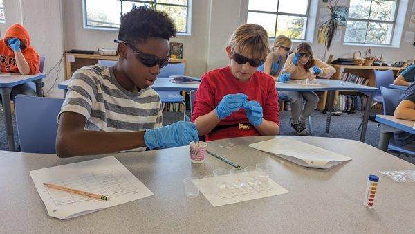 5-6 students perform an acid and base lab experiment during science class.