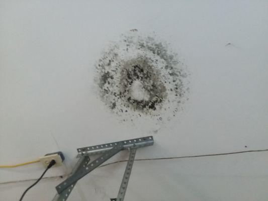 Mold caused by poor toilet reinstallation.