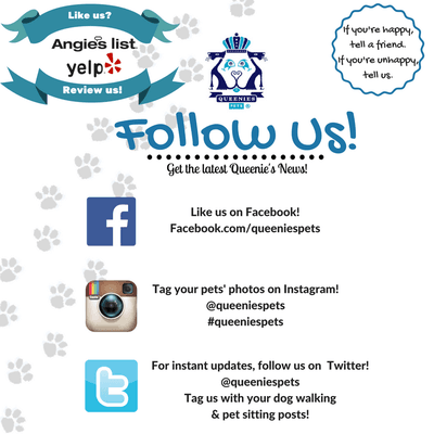 Follow us!