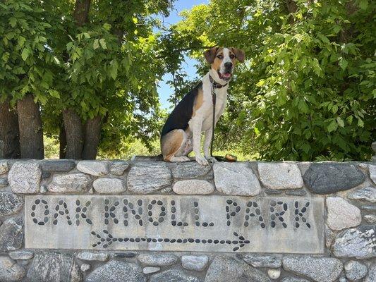 Oak Glen Preserve's Oak Knoll Park has ample picnic tables for family fun and it's located next to the Children's Forest!