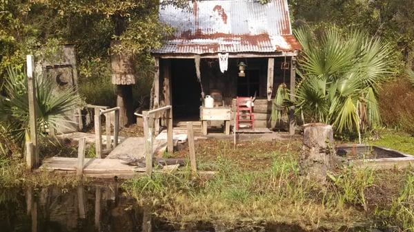 Old house with a gator chilling on the front porch